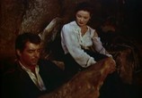 Фильм Путь Гаучо / Way of a Gaucho (1952) - cцена 2