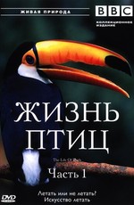 BBC: Жизнь птиц / The Life of Birds (1998)