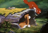 Сцена из фильма Лис и охотничий пес / The Fox and the Hound (1981) 