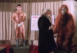 Сцена из фильма Столичное животное / Animali metropolitani (1987) Столичное животное сцена 2