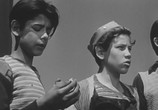 Сцена из фильма Забытые / Los olvidados (1950) Забытые сцена 2