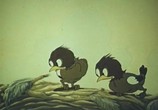 Мультфильм Лиса и Дрозд (1946) - cцена 1