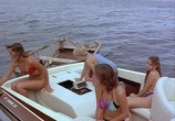 Сцена из фильма Ярость на острове / Please Don't Eat the Babies (1983) Ярость на острове сцена 3