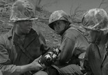 Сцена из фильма Пески Иво Джимы / Sands Of Iwo Jima (1949) Пески Иво Джимы сцена 6