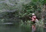 Сцена из фильма BBC: Дикий мир Амазонки / BBC: Amazon: The Flooded Forest (1989) BBC: Дикий мир Амазонки сцена 3