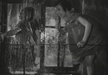 Фильм Ты молодец, Анита! (1956) - cцена 3