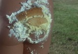 Фильм Солянка по-кентуккийски / The Kentucky Fried Movie (1977) - cцена 4