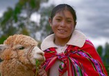 Сцена из фильма Перу / Peru (2017) Перу сцена 8