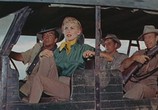 Сцена из фильма Сафари / Safari (1956) Сафари сцена 9