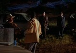Сцена из фильма Летучие мыши / Bats (1999) Летучие мыши сцена 2