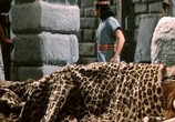Сцена из фильма Золото древних инков / Das Vermächtnis des Inka (1965) Золото древних инков сцена 8