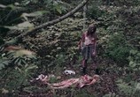 Сцена из фильма Девушка в лесу / Girl in Woods (2016) Девушка в лесу сцена 18