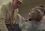 Сцена из фильма Бродяга / Raggedy Man (1981) Бродяга сцена 3