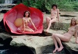 Сцена из фильма Пляжный домик / Casotto (1977) Пляжный домик сцена 12