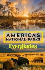 Национальные парки Америки. Эверглейдс