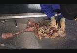 Сцена из фильма Анатомия для начинающих / Anatomy for Beginners (2005) Анатомия для начинающих. Пищеварение сцена 12
