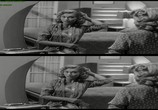 Сцена из фильма Месть твари / Revenge of the Creature (1955) Месть твари сцена 10