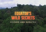 Сцена из фильма Необычная природа экватора / Equator's Wild Secrets (2019) Необычная природа экватора сцена 7