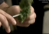 Сцена из фильма Discovery: Марихуана в законе / Discovery: Weed Wars (2012) Discovery: Марихуана в законе сцена 1