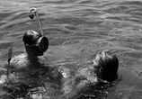 Сцена из фильма Танец цапли / De dans van de reiger (1966) 