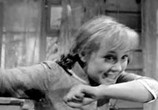 Сцена из фильма Девчата (1961) Девчата