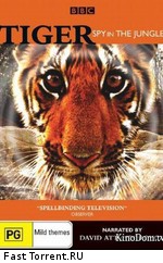 BBC: Тигр: Шпион джунглей / BBC: Tiger: Spy in the Jungle (2008)