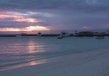 Сцена из фильма Мальдивы: Впечатления. Великолепные острова / Malediven: HD Impressionen Traumhafter Inseln (2011) Мальдивы: Впечатления. Великолепные острова сцена 16