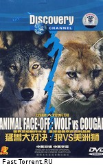 Nat Geo Wild: Пума против волка