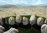 Сцена из фильма О овцы! / Oh Sheep! (2012) О овцы! сцена 3