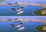 Сцена из фильма Крылья 3Д / Wings 3D (2013) Крылья 3Д сцена 14