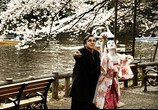 Сцена из фильма Цвет сакуры / Kirschblüten - Hanami (2008) Цветение сакуры