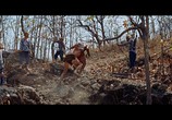 Фильм Три испытания Тарзана / Tarzan's Three Challenges (1963) - cцена 2