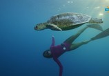 ТВ Фридайвинг на Большом Барьерном рифе / Ultimate Freedive: The Great Barrier Reef (2016) - cцена 8