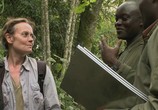 Сцена из фильма BBC: Горная горилла / BBC: Mountain Gorilla (2010) BBC: Горная горилла сцена 4