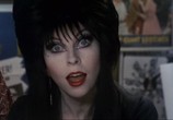 Сцена из фильма Эльвира: Повелительница тьмы / Elvira, Mistress of the Dark (1988) Эльвира: Повелительница тьмы сцена 1
