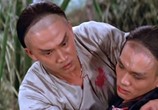 Фильм Лев против Льва / Nan bei shi wang (1981) - cцена 6