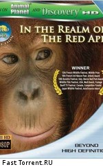Discovery: Дикая Азия: В царстве рыжей обезьяны