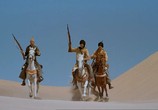 Сцена из фильма Рожденный в песках / The Young Black Stallion (2004) Рожденный в песках сцена 3