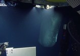 Сцена из фильма Глубоководные киты / Whales of the deep (2017) Глубоководные киты сцена 3