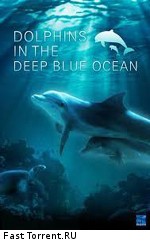 Дельфины в глубоком голубом океане