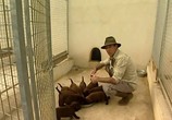 Сцена из фильма Дрессировка охотничьих собак / Training the gun dogs (2006) Дрессировка охотничьих собак сцена 2