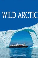 Nat Geo Wild: Дикая Арктика