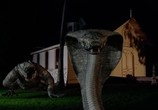 Сцена из фильма Комодо против кобры / Komodo vs. Cobra (2005) Комодо против кобры сцена 1