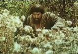 Сцена из фильма Емельян Пугачев (1978) Емельян Пугачев сцена 3