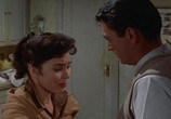 Сцена из фильма Мужчина в сером фланелевом костюме / The Man in the Gray Flannel Suit (1956) Мужчина в сером фланелевом костюме сцена 1