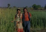 Сцена из фильма Цветы распустились в саду / Phool Khile Hain Gulshan Gulshan (1978) 