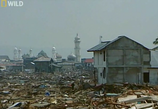 Сцена из фильма National Geographic: Самые страшные стихийные бедствия: Цунами / Ultimate Disaster Tsunami (2006) 