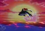 Сцена из фильма Русалочка / The Little Mermaid: The series (1992) Русалочка сцена 14