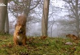 ТВ Nat Geo Wild: Дикая природа Шотландии: Высокогорье / Wild Scotland. Highlands (2016) - cцена 1