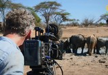 Сцена из фильма ВВС: Знакомство со слонами / Elephant Family and Me (2016) ВВС: Знакомство со слонами сцена 11